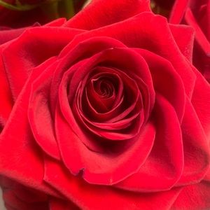 Meet your Posher, Dharti